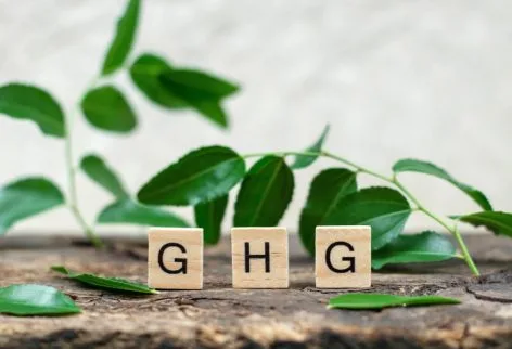 Carbon Neutrality Solutions